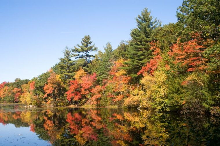 boston-harbor-fall-foliage-weekend-brunch-cruise