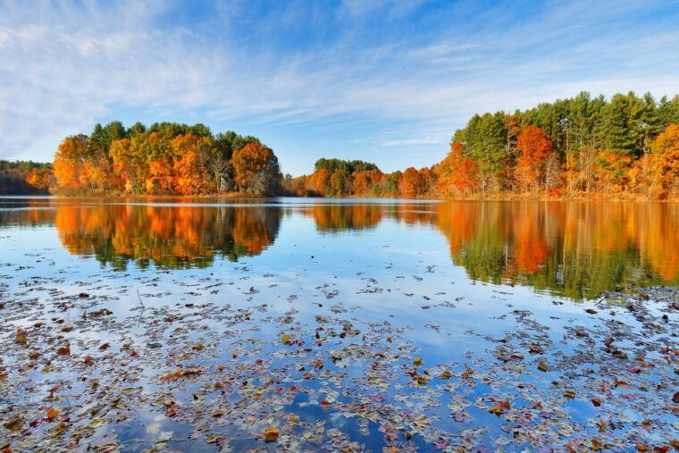 boston-harbor-fall-foliage-weekend-brunch-cruise