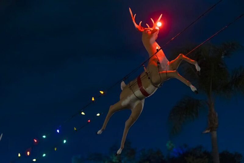 Boston: Holiday Sights and Festive Nights Trolley Tour - Enjoying the Festive Atmosphere