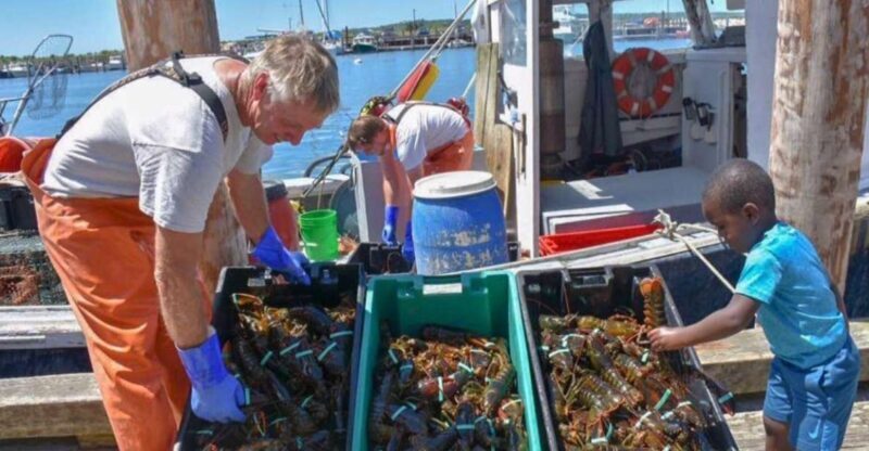 Boston: Kennebunkport Day Trip with Optional Lobster Tour - The Itinerary in Detail  