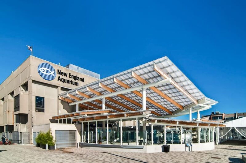 boston-new-england-aquarium-skip-the-line-entry-ticket