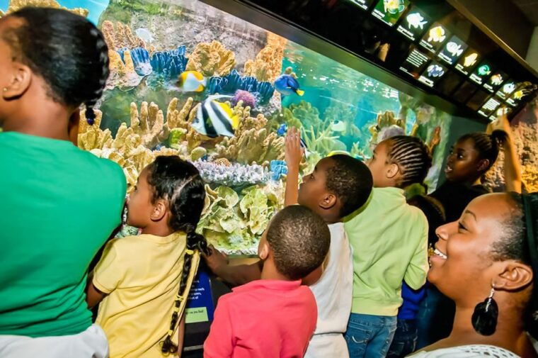 boston-new-england-aquarium-skip-the-line-entry-ticket