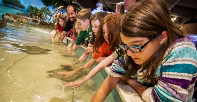 boston-new-england-aquarium-skip-the-line-entry-ticket