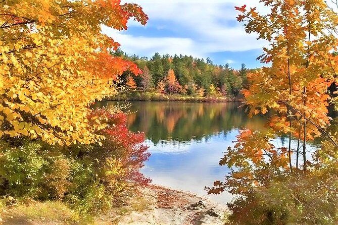 Boston to New Hampshire Fall Foliage White Mountains Day Trip - Why Youll Love This Tour