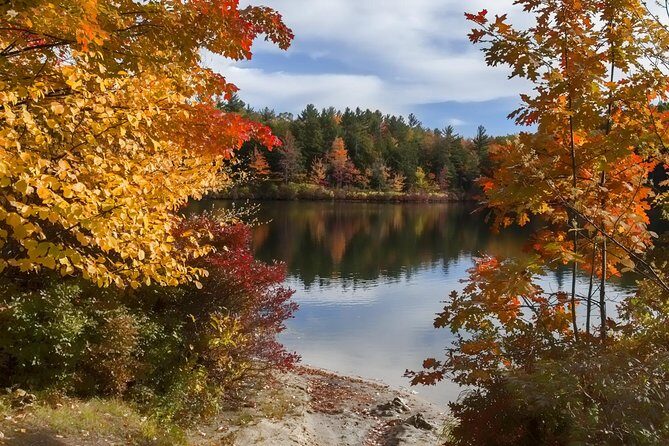 Boston to New Hampshire Fall Foliage White Mountains Day Trip - Practical Tips for Travelers