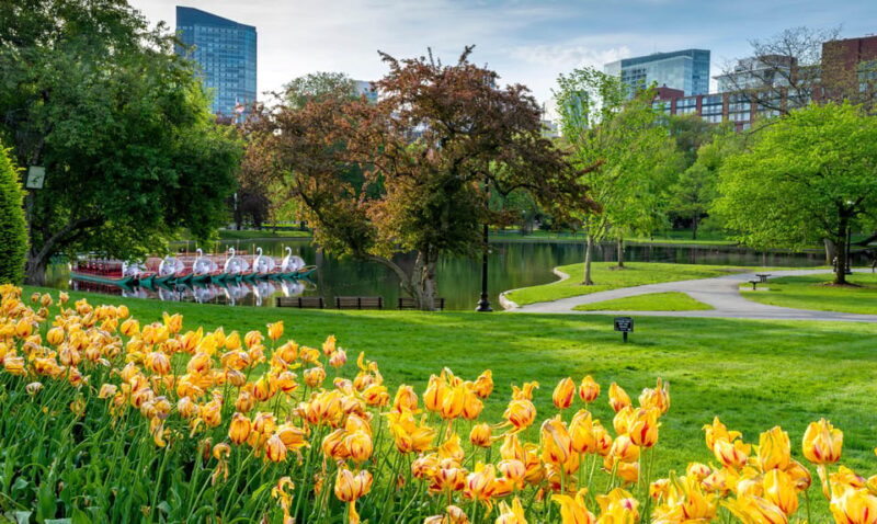 Boston: Votes for Women History Tour of Back Bay - FAQ