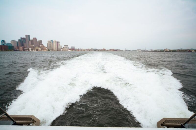 boston-whale-watching-catamaran-cruise