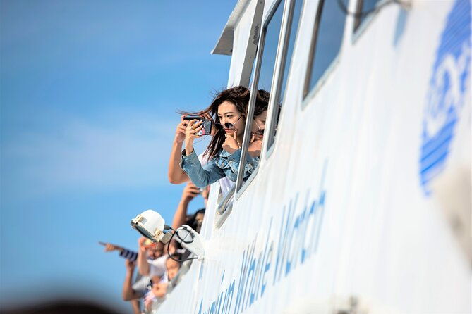 boston-whale-watching-cruise-by-high-speed-catamaran