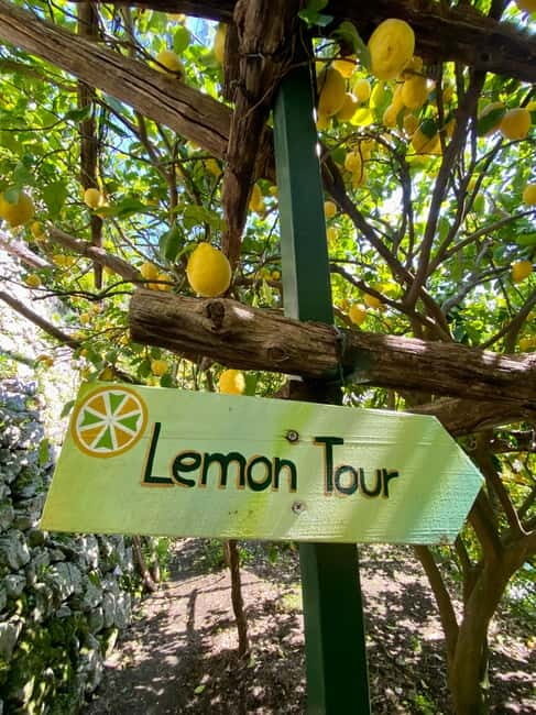 Botanic naturalistic Lemon tour & tasting - Exploring the Botanic Naturalistic Lemon Tour & Tasting in Campania
