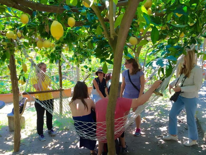 Botanic naturalistic Lemon tour & tasting - A Close Look at the Lemon Gardens & Naturalistic Tour