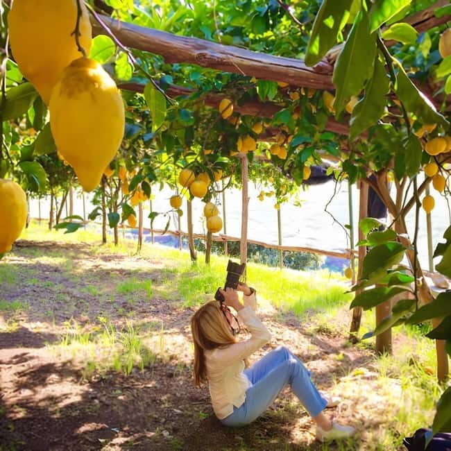 Botanic naturalistic Lemon tour & tasting - Practical Details and What to Keep in Mind
