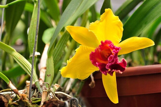 botanical-garden-and-arvi-park-medellin-city-tour