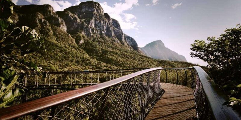 Botanical Garden and Groot Constantia Wineries Private Tour - Why This Tour Works Well