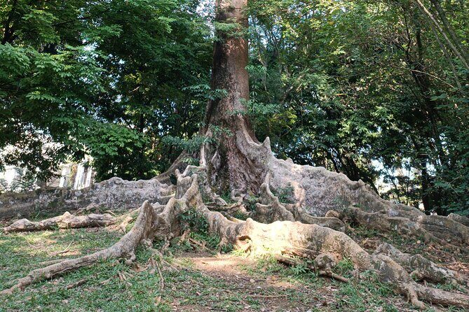 Botanical Garden And Miniature Park Of Indonesia Tour - Frequently Asked Questions