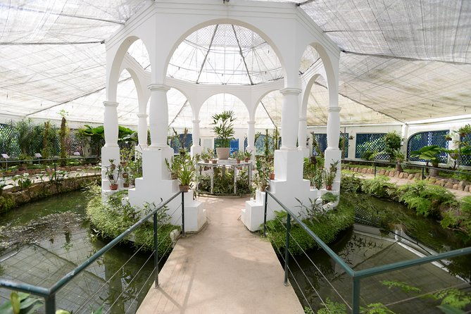 botanical-garden-and-parque-lage-private-tour-with-a-photographer