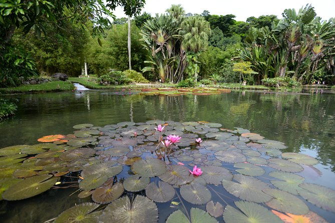 botanical-garden-and-parque-lage-private-tour-with-a-photographer