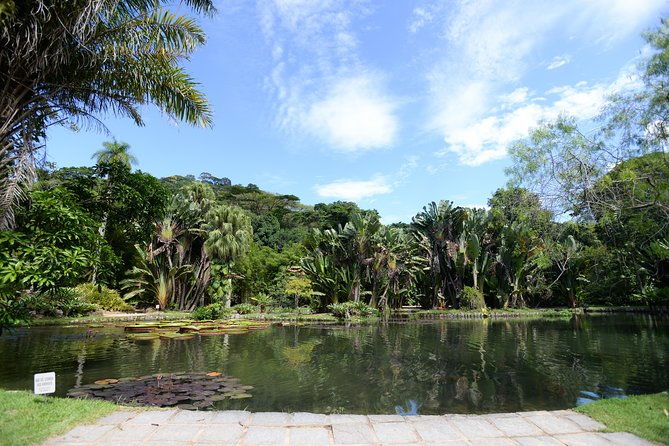 botanical-garden-and-parque-lage-private-tour-with-a-photographer