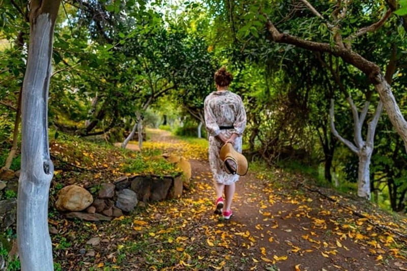 Botanical Garden & Aromas of the Wild Nature Adventures - Key Points