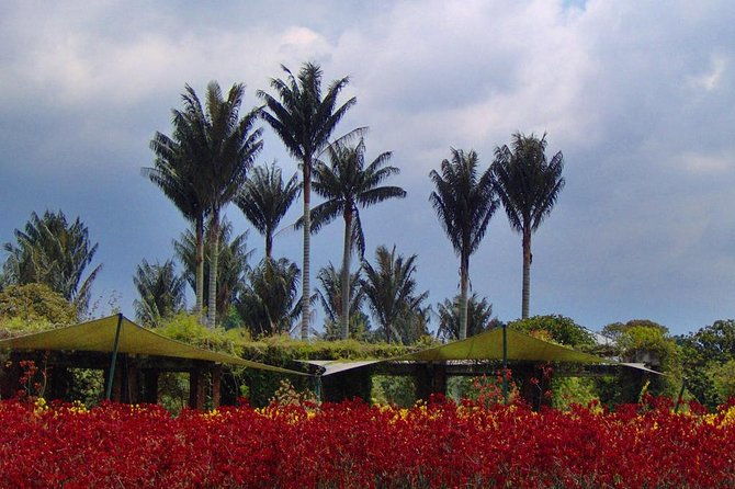 botanical-garden-bogota-private-tour-4-hrs