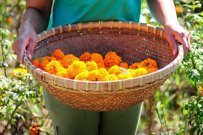 Botanical Tea work shop and Garden Tour - A Genuine Look at the Botanical Tea Workshop and Garden Tour in Ubud