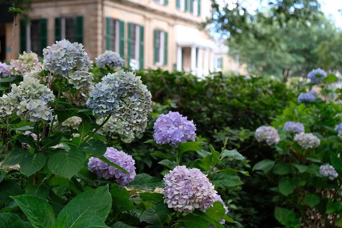 botanical-tour-by-walk-with-me-savannah-tours
