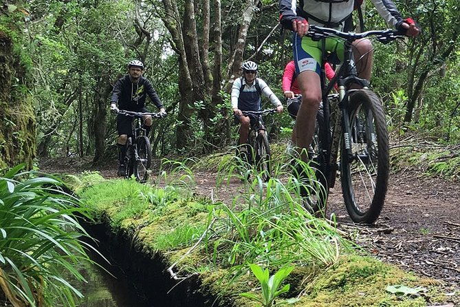 botanical-trails-of-madeira-mountain-biking-trail-experience