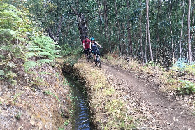 botanical-trails-of-madeira-mountain-biking-trail-experience