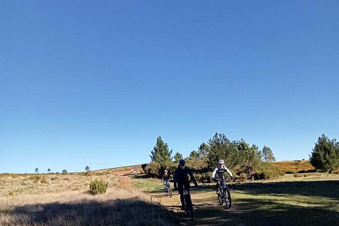 botanical-trails-of-madeira-mountain-biking-trail-experience