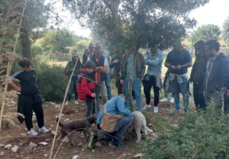 Botanical workshop & Nepeta's bitters tasting in Val di Noto - What to Expect from the Experience