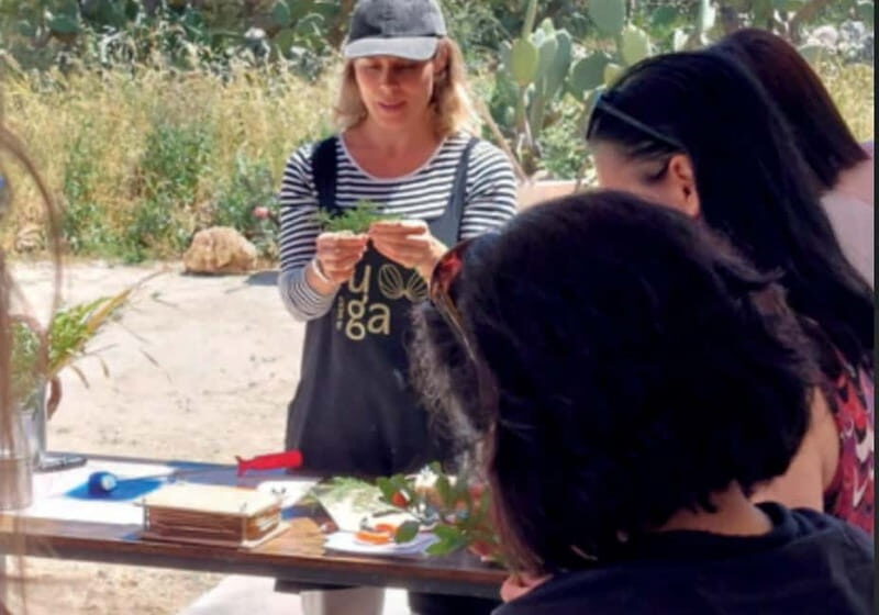 Botanical workshop & Nepeta's bitters tasting in Val di Noto - Value & Practicalities