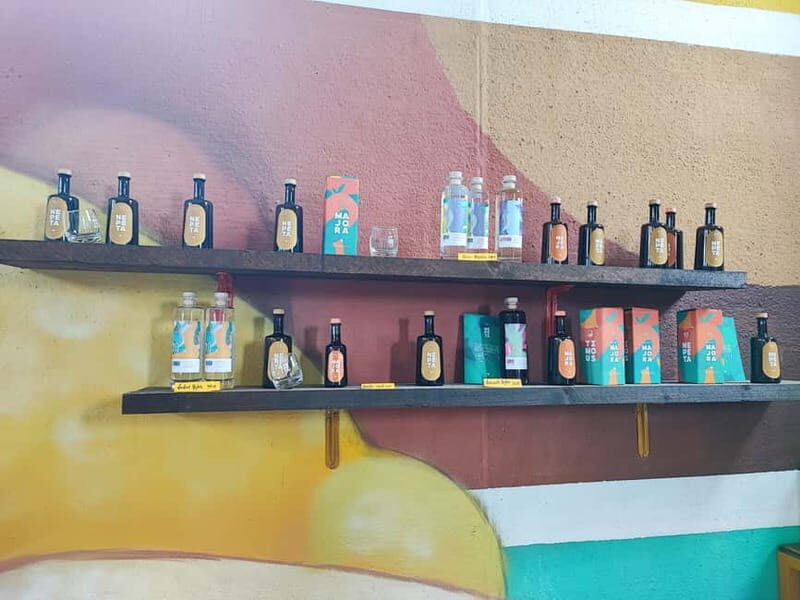Botanical workshop & Nepeta's bitters tasting in Val di Noto - Who Will Love This Experience?