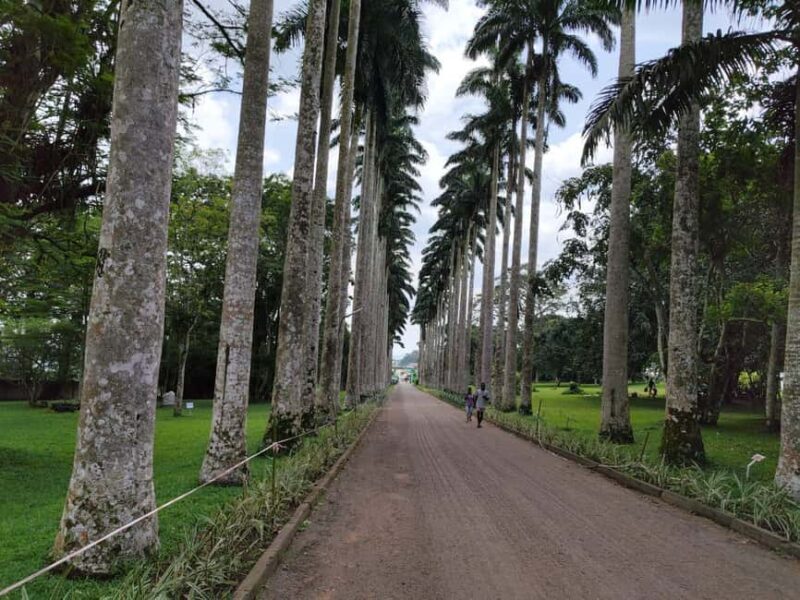 Boti Falls, Aburi Gardens, and Asenema Waterfalls - Key Points