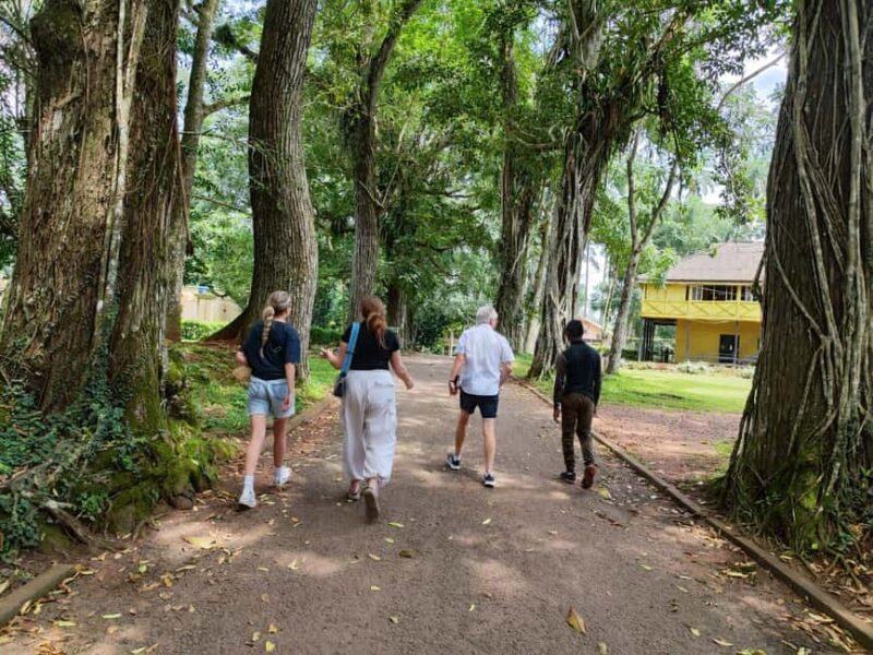 Boti Falls, Aburi Gardens, and Asenema Waterfalls - An In-Depth Look at the Tour Experience