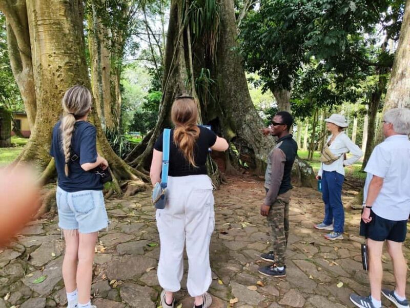 Boti Falls, Aburi Gardens, and Asenema Waterfalls - Why This Tour Is Worth It