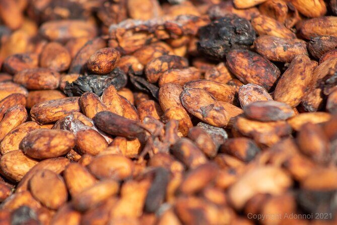 Boti Falls, Umbrella Rock, Aburi Gardens & Cocoa Farm Day Tour - Discovering Ghana’s Natural and Cultural Gems