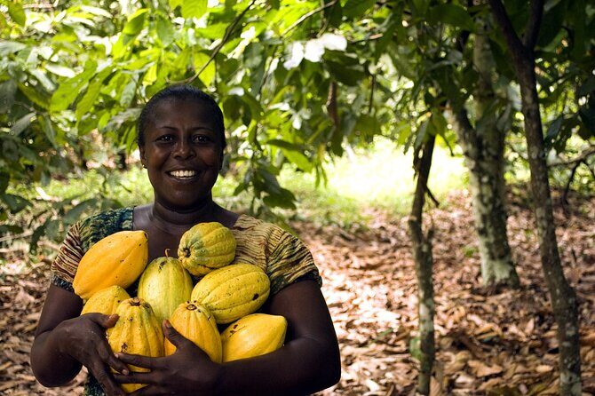 Boti Falls, Umbrella Rock, Aburi Gardens & Cocoa Farm Day Tour - Boti Waterfalls: Nature’s Power & Legend