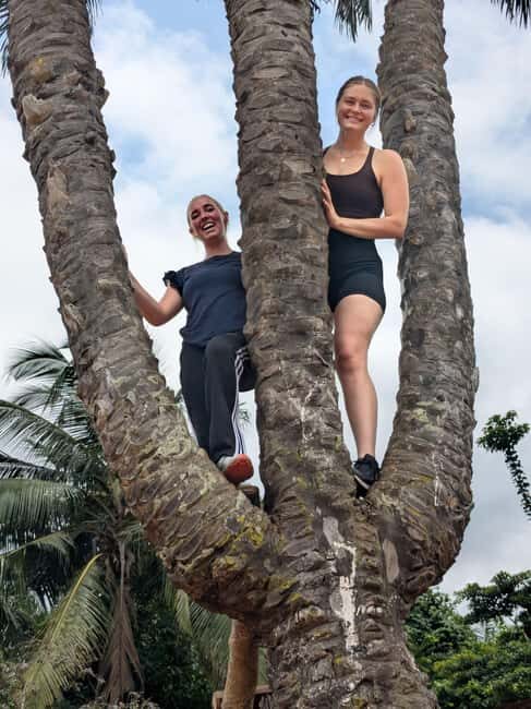 Boti Falls, Umbrella Rock, Aburi Gardens & Cocoa Farm Tour - Exploring the Ghanaian Landscape: What You Can Expect