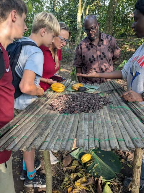 Boti Falls, Umbrella Rock, Aburi Gardens & Cocoa Farm Tour - FAQs