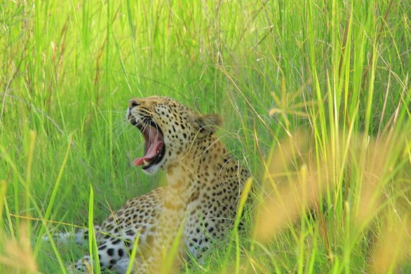 Botswana: explore the renowned okavango delta with us - Key Points