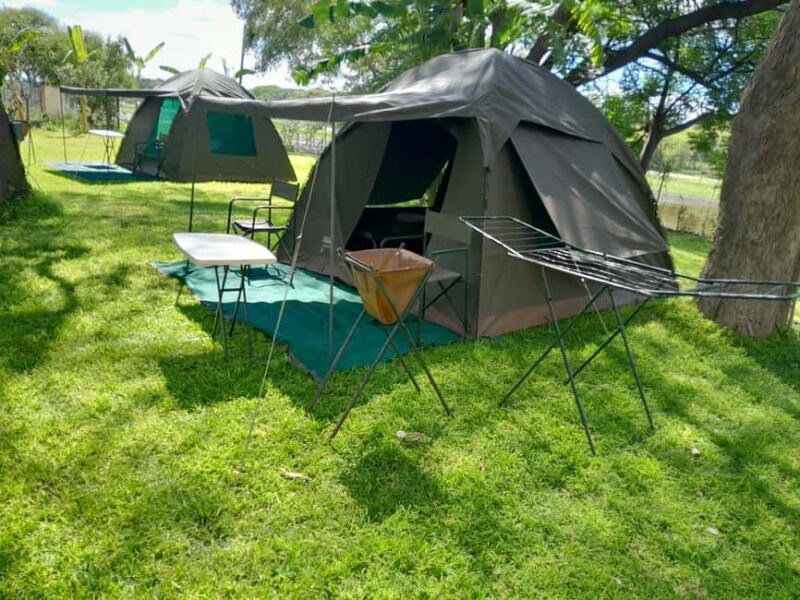 Botswana: explore the renowned okavango delta with us - Detailed Breakdown of the Experience