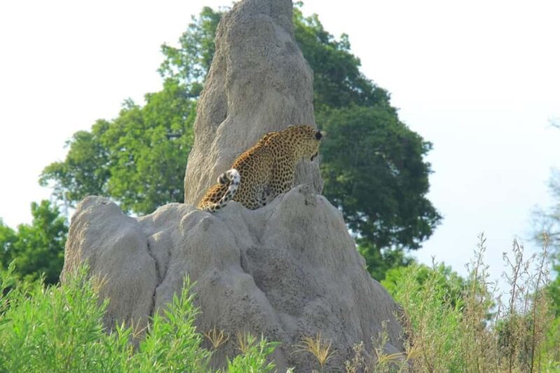 Botswana: explore the renowned okavango delta with us - Why This Tour Is Worth Considering