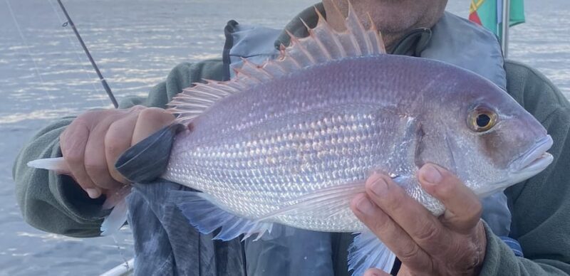 Bottom Fishing Lagos - An Honest Look at the Experience