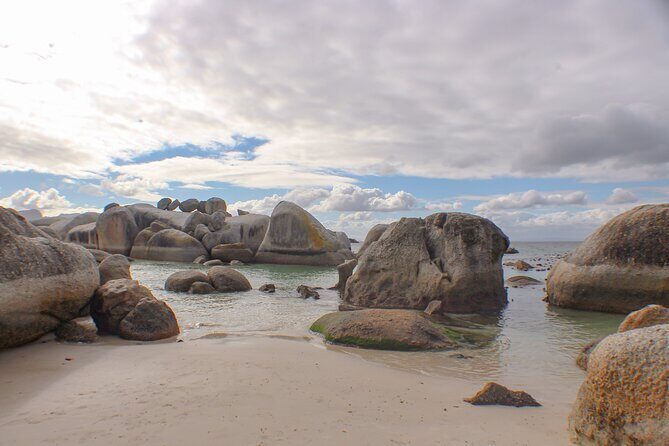 Boulder's Beach Penguins Chapman's Peak & Simonstown - Final Thoughts: Who Should Consider This Tour?