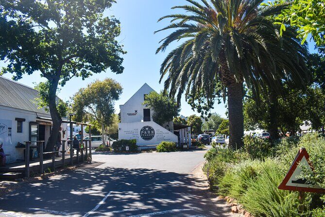 Boulders Beach Penguins Half Day Tour - Why This Tour Works Well
