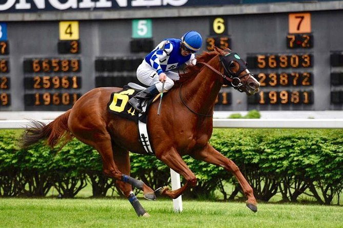 bourbon-derby-makers-mark-or-buffalo-trace-churchill-down