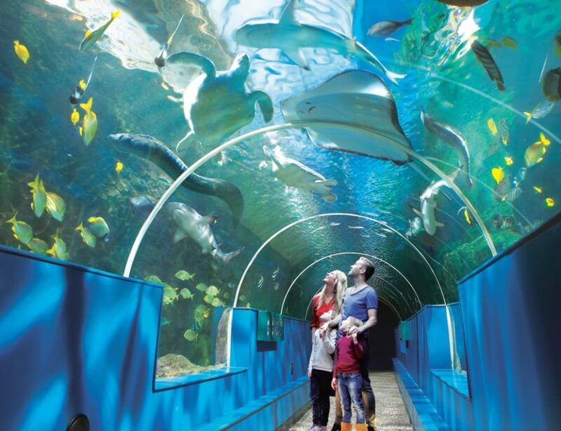 bournemouth-oceanarium-ticket