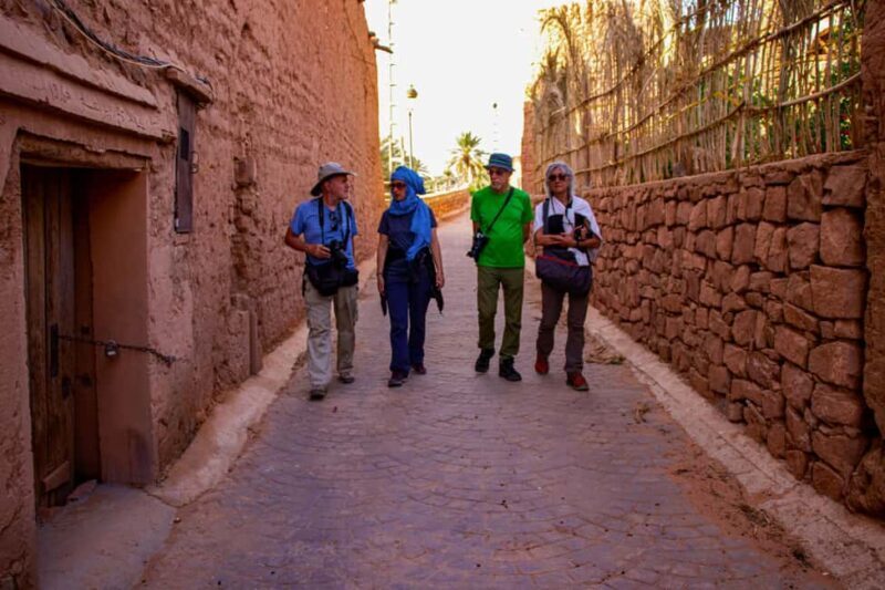 Boussemghoun Palace Guided Tour with Snacks - A Detailed Look at the Tour Experience