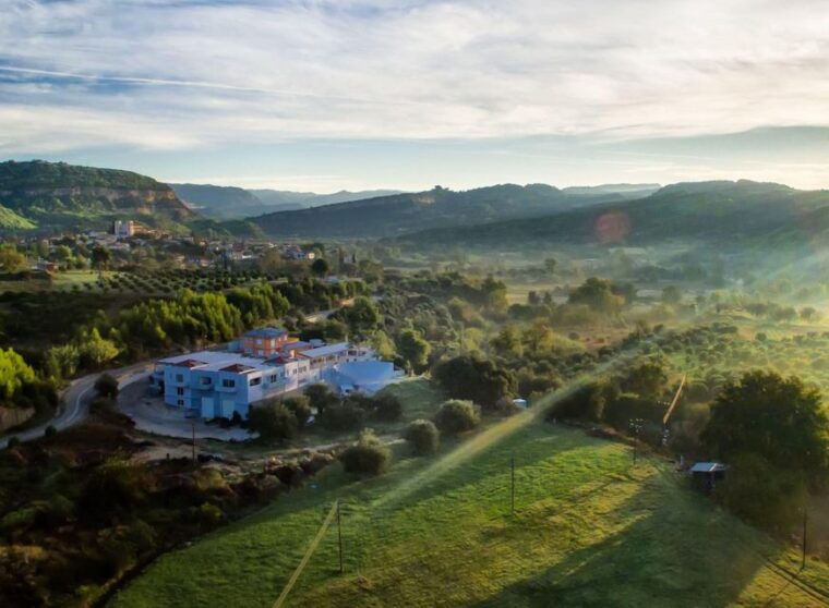 boutique-expedition-small-group-olympia-wine-oil-taste