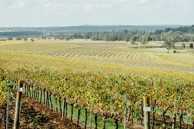 Boutique Hunter Valley Wine Tour from Newcastle - Frequently Asked Questions
