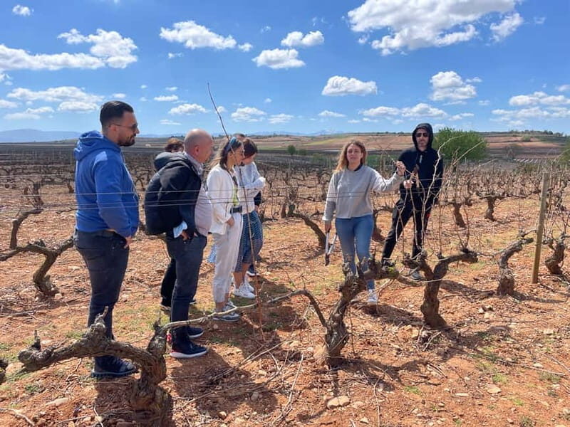 Boutique Rioja Wine Tour with Charming Lunch (From Bilbao) - Final Thoughts